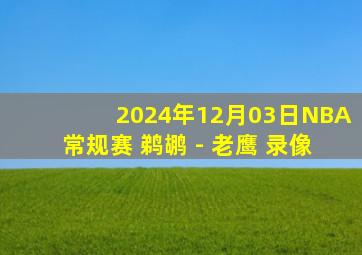 2024年12月03日NBA常规赛 鹈鹕 - 老鹰 录像